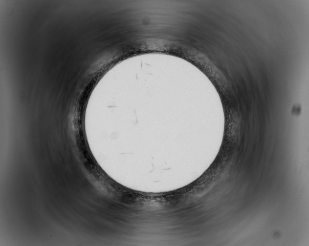 X0000103910683200810311433