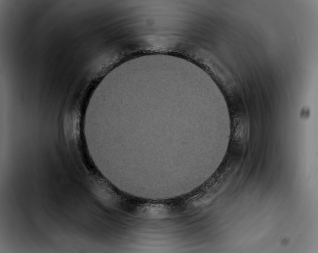 X0000103910685200810311432