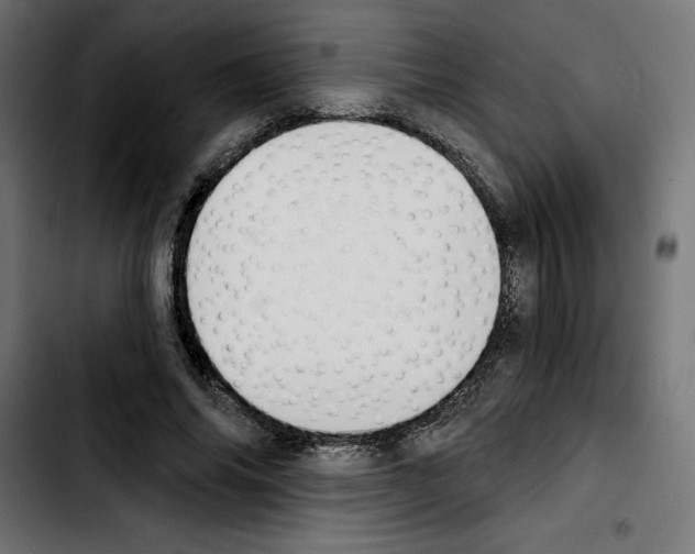 X0000103910686200810311432