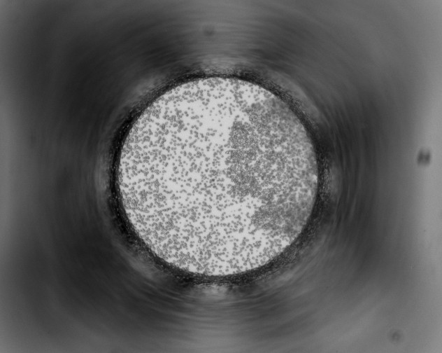 X0000103910687200810311432