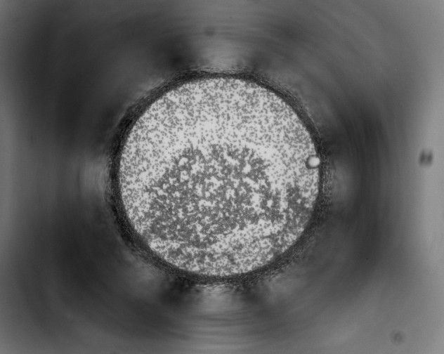 X0000103910688200810311432