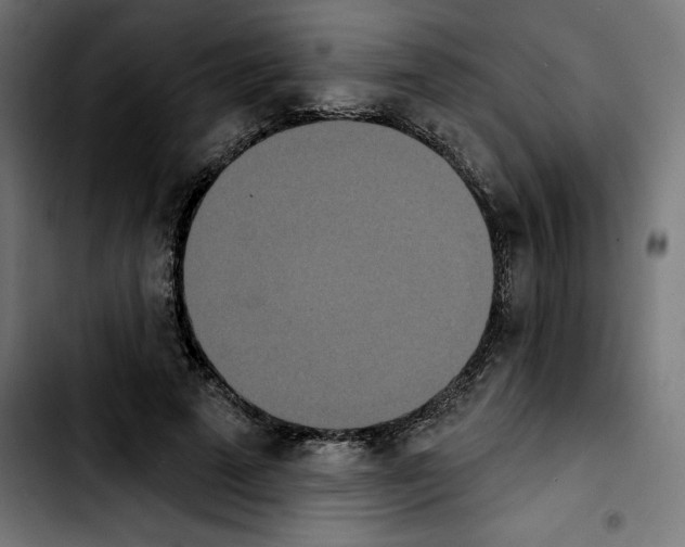 X0000103910689200810311432