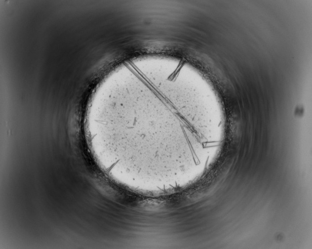 X0000103910691200810311432