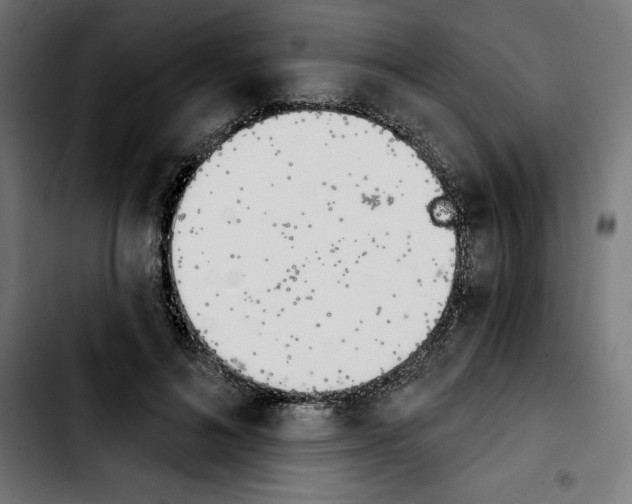 X0000103910692200810311432