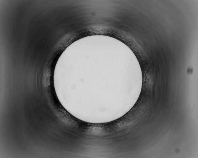 X0000103910694200810311432