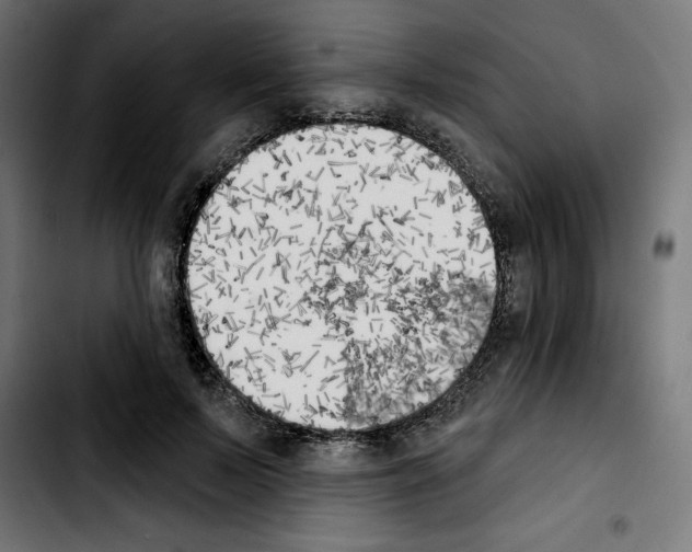 X0000103910695200810311432