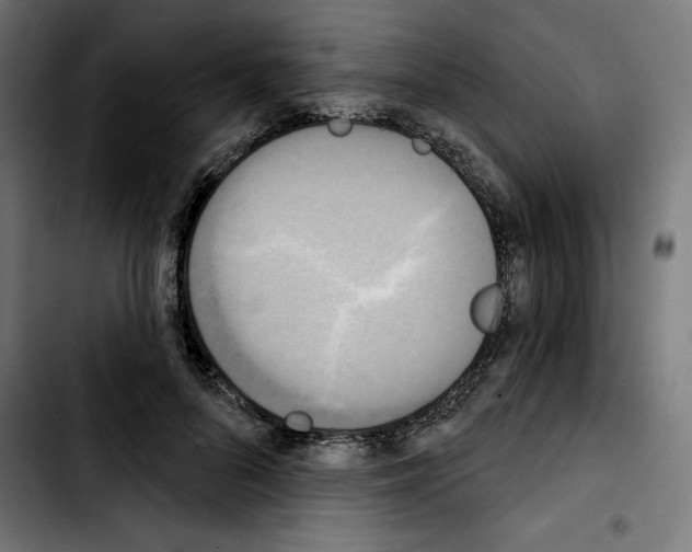 X0000103910696200810311432