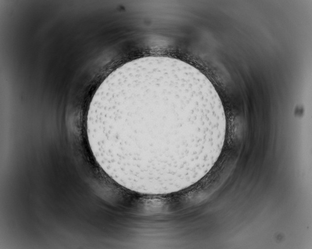 X0000103910698200810311432