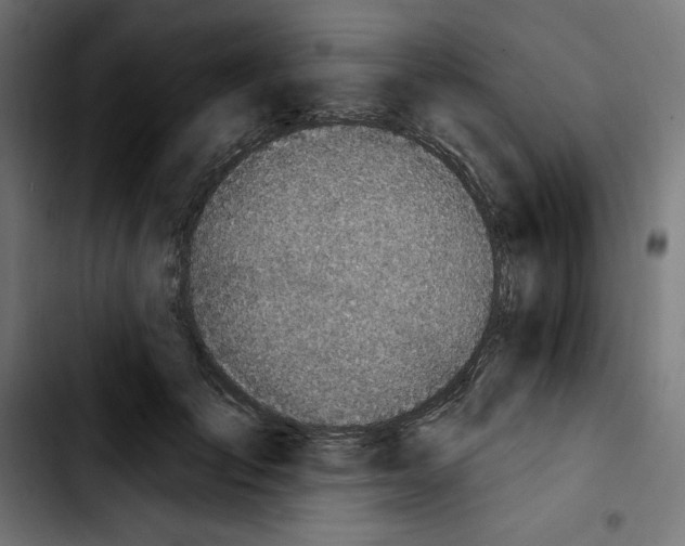 X0000103910701200810311432