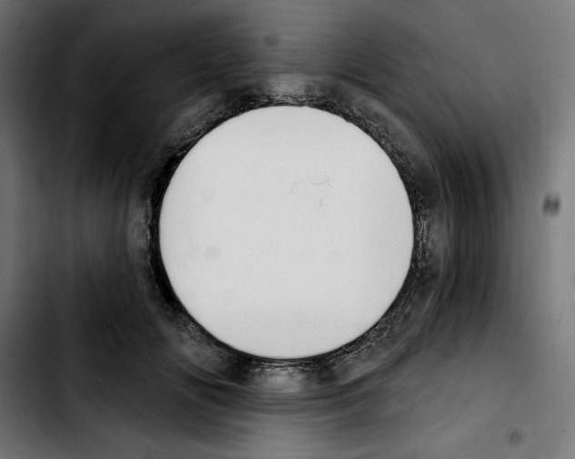 X0000103910702200810311432
