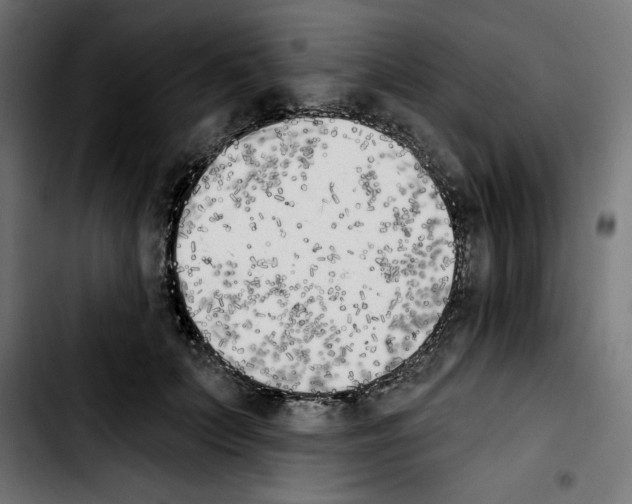 X0000103910703200810311432