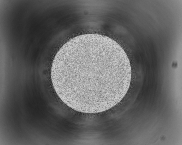 X0000103910704200810311432