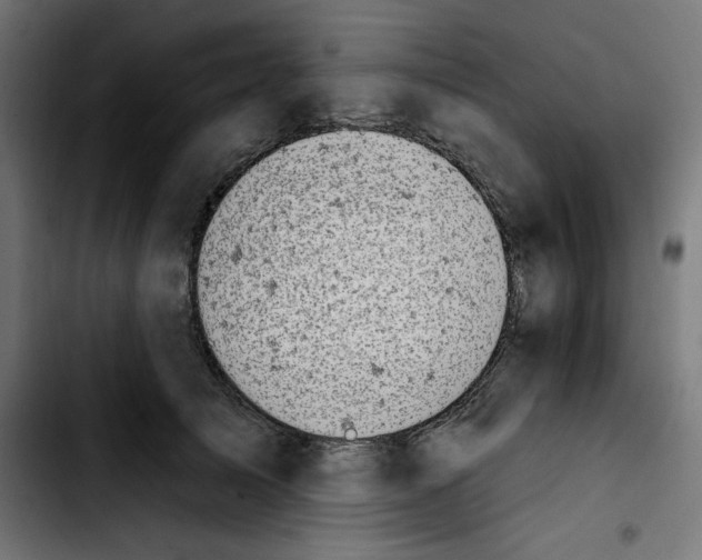 X0000103910705200810311432
