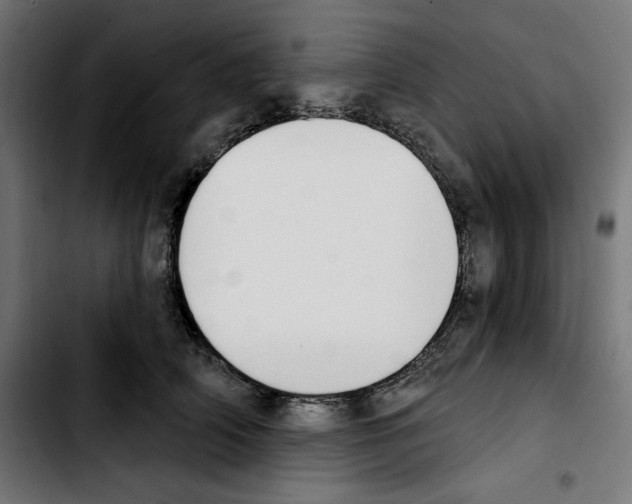 X0000103910706200810311432
