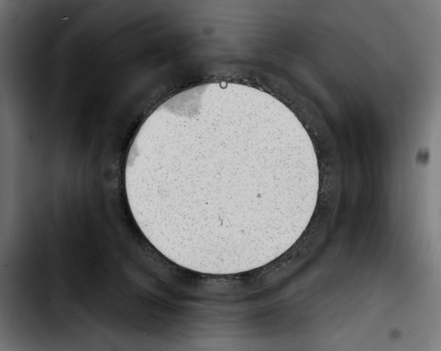 X0000103910708200810311432