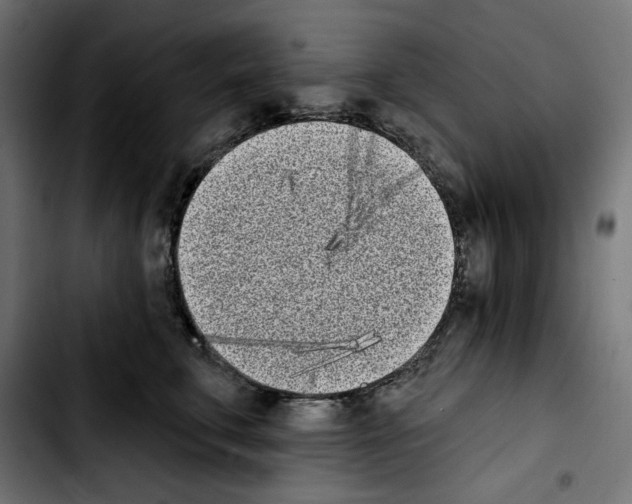 X0000103910711200810311432
