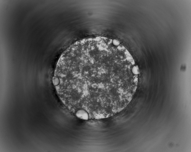 X0000103910712200810311432