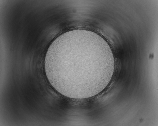 X0000103910713200810311432