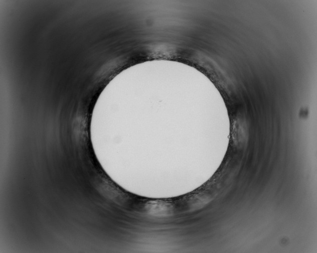X0000103910714200810311432