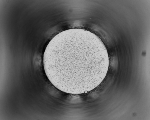 X0000103910715200810311432