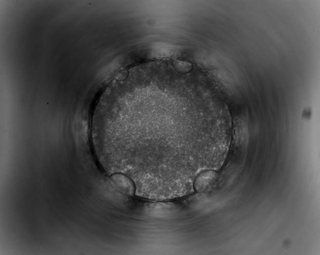 X0000103910716200810311432