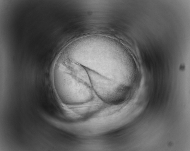 X0000103910717200810311432