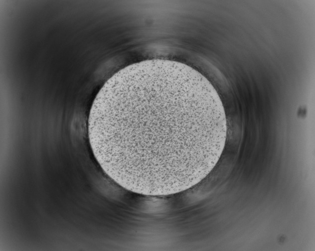 X0000103910718200810311432