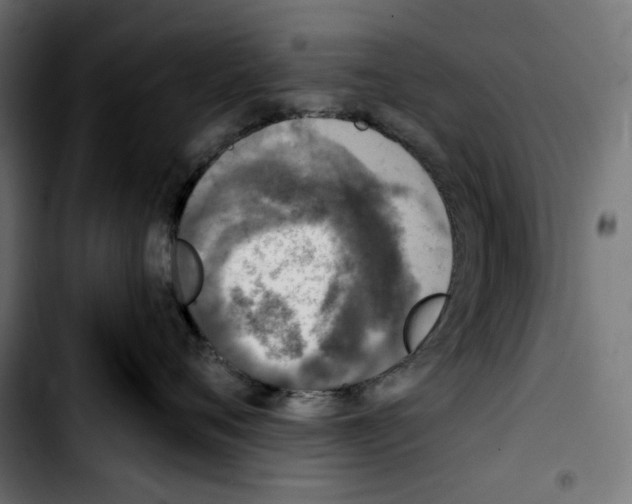 X0000103910720200810311432
