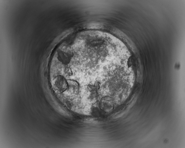 X0000103910721200810311431