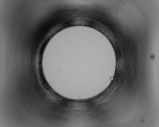 X0000103910722200810311431