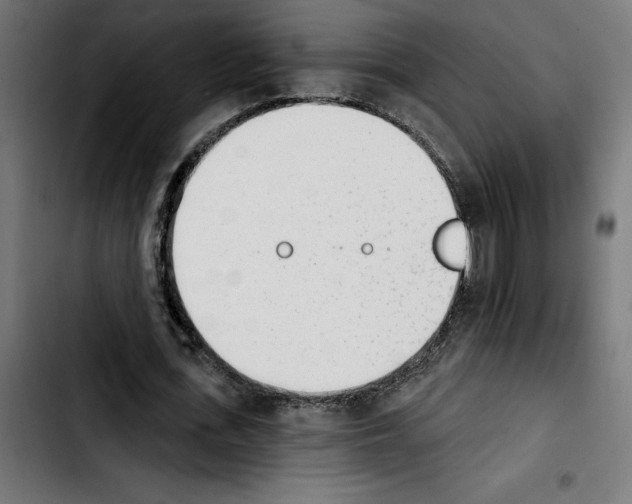 X0000103910723200810311431