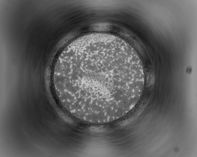 X0000103910725200810311431