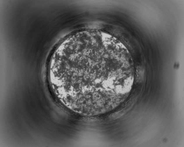 X0000103910726200810311431