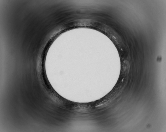 X0000103910727200810311431