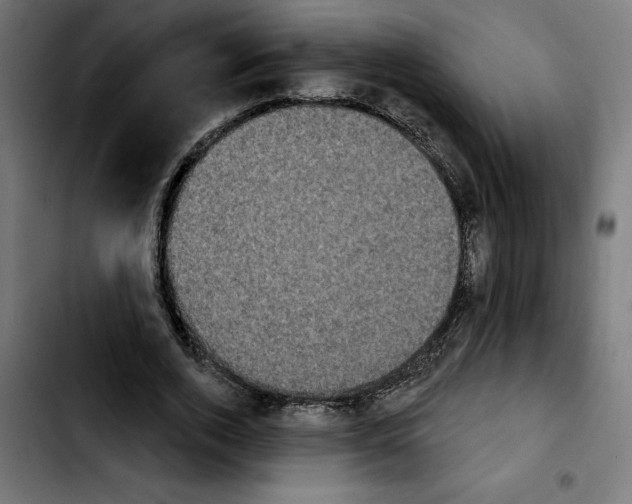 X0000103910728200810311431