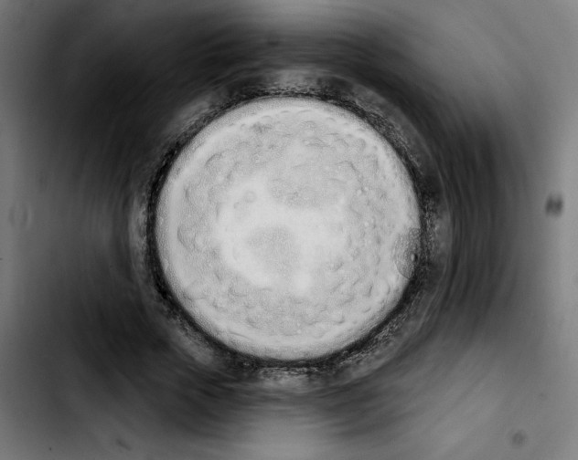 X0000103910729200810311431