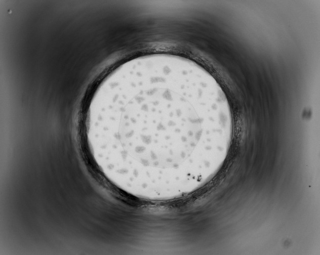 X0000103910730200810311431