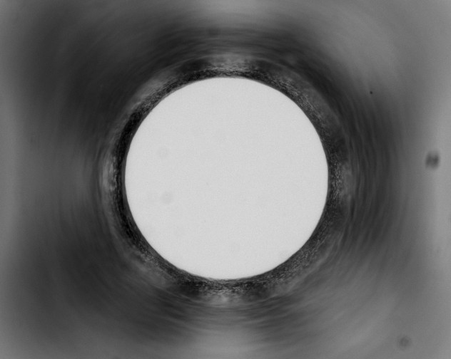 X0000103910731200810311431