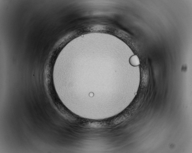 X0000103910732200810311431