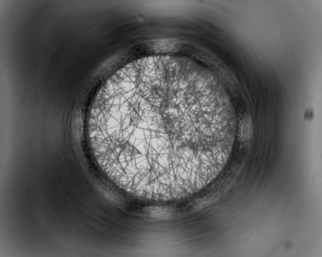X0000103910733200810311432