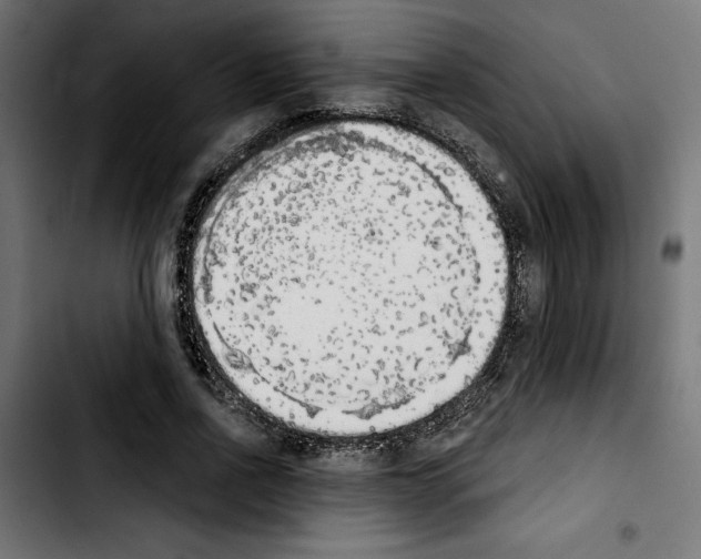 X0000103910734200810311432