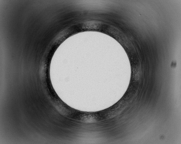 X0000103910735200810311432