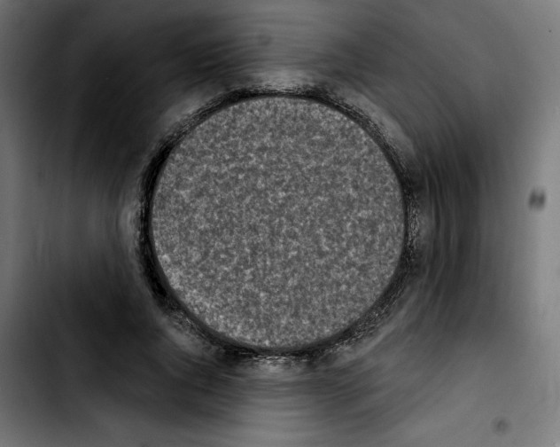 X0000103910736200810311432