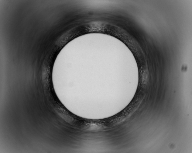 X0000103910737200810311432