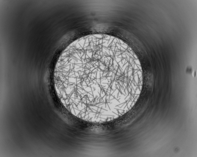 X0000103910738200810311432