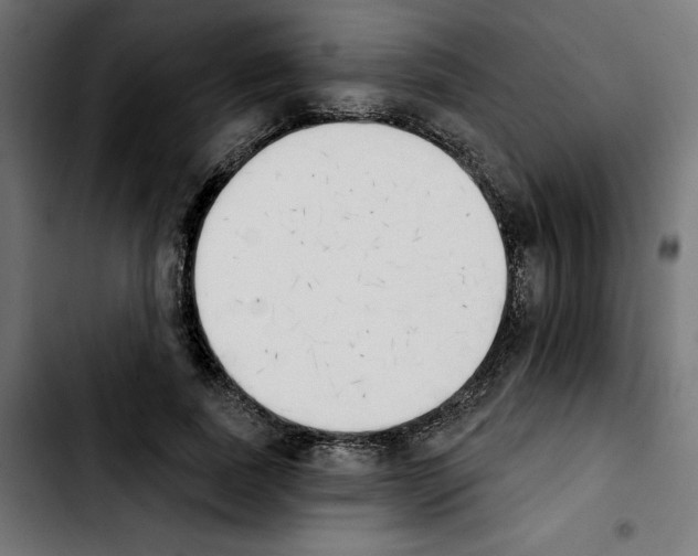 X0000103910739200810311432
