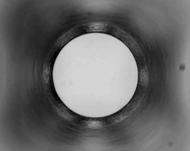 X0000103910741200810311432