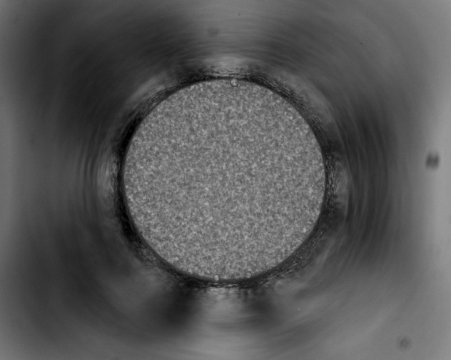 X0000103910744200810311432
