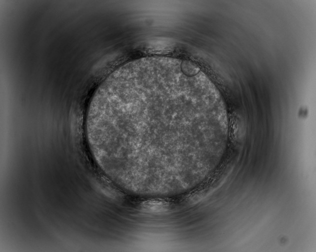 X0000103910745200810311432
