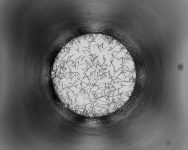 X0000103910746200810311432